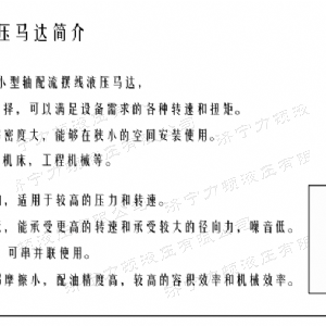 云博在线平台（中国）官网侧油口系列马达