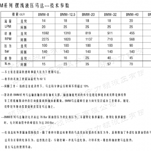 云博在线平台（中国）官网侧油口系列马达