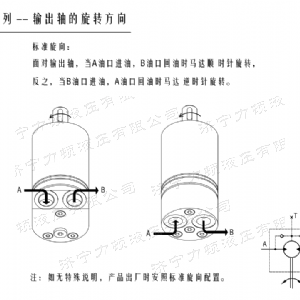 云博在线平台（中国）官网后油口系列马达