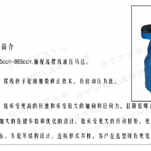 BMH系列并列油口云博在线平台（中国）官网马达