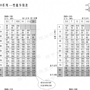 BMH系列并列油口云博在线平台（中国）官网马达