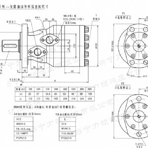 BMH系列交错油口云博在线平台（中国）官网马达